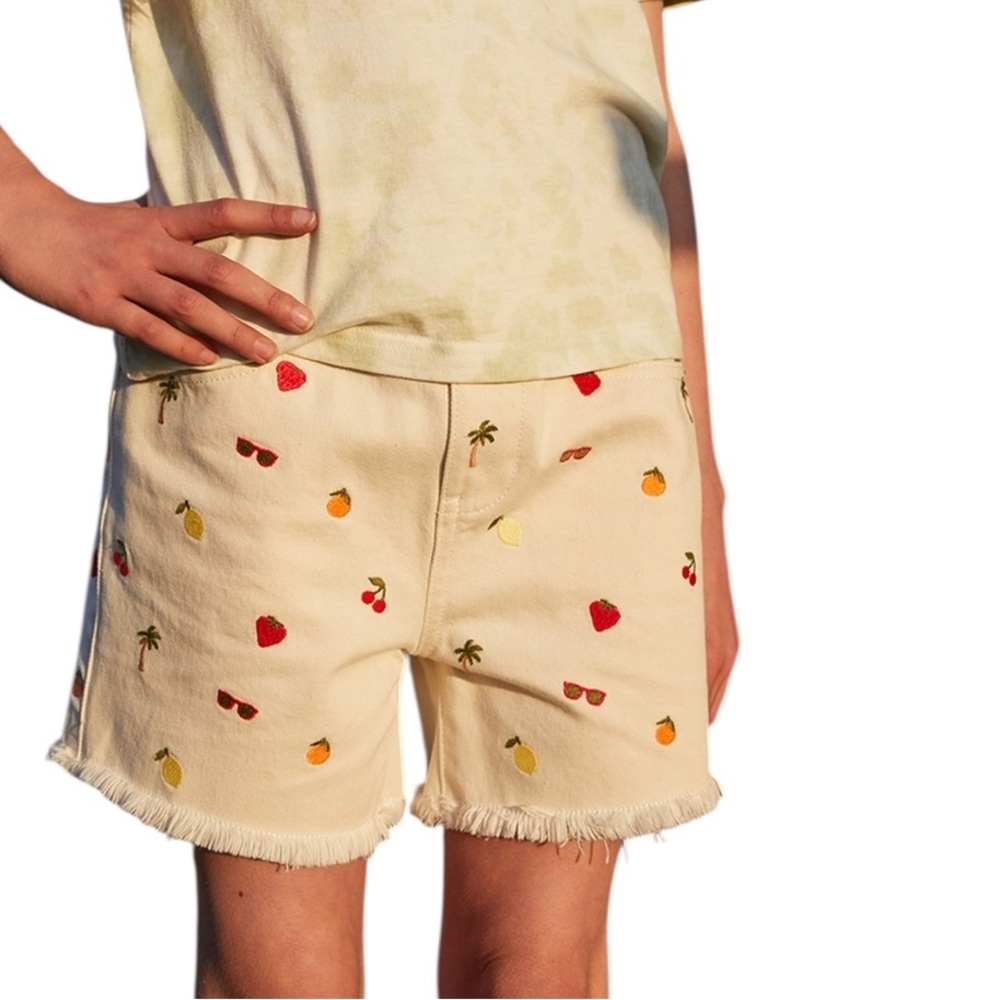 NWOT Denim, Embroidered Shorts by PacSun. Size kids/youth 12.